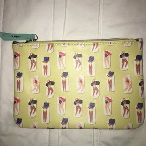 IPSY Bag - perfect for makeup, toiletries, travel!